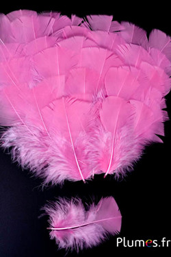 Dinde - 6-8 cm - rose ancien